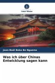 Was ich über Chinas Entwicklung sagen kann