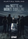 Una notte sui Monti Sibillini (eBook, ePUB)
