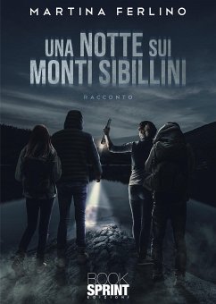 Una notte sui Monti Sibillini (eBook, ePUB) - Ferlino, Martina