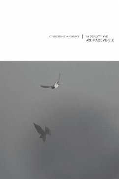 In Beauty We Are Made Visible - Morro, Christine