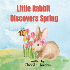 Little Rabbit Discovers Spring - Jordan, Cheryl L