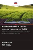 Impact de l'architecture du système racinaire sur le blé
