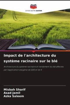 Impact de l'architecture du système racinaire sur le blé - Sharif, Misbah;Jamil, Asad;Saleem, Azka