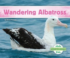 Wandering Albatross - Hansen, Grace
