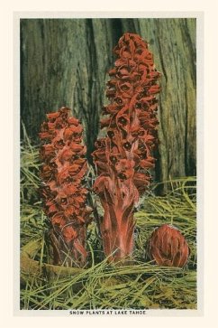 Vintage Journal Snow Plants, Lake Tahoe