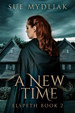 A New Time (eBook, ePUB) - Mydliak, Sue