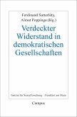Verdeckter Widerstand in demokratischen Gesellschaften (eBook, PDF)
