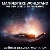 Manifestiere Wohlstand mit dem Gesetz der Anziehung (MP3-Download)