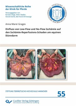 Einfluss von Low-Flow und No-Flow Ischämie auf den Ischämie-Reperfusions-Schaden am equinen Dünndarm - Grages, Anna Marei