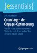 Grundlagen der Onpage-Optimierung - Bild 1