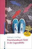 Praxishandbuch FASD in der Jugendhilfe (eBook, ePUB)