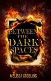 Between the Dark Spaces (eBook, ePUB)