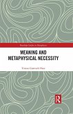Meaning and Metaphysical Necessity (eBook, PDF)