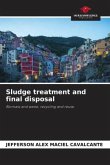 Sludge treatment and final disposal