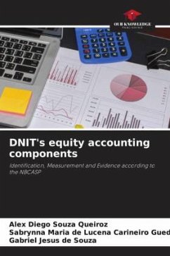 DNIT's equity accounting components - Diego Souza Queiroz, Alex;de L. C. Guedes, Sabrynna Maria;Jesus de Souza, Gabriel