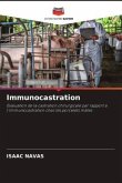 Immunocastration