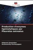 Production d'enzymes ligninolytiques par Pleurotus ostreatus