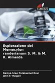 Esplorazione del Memecylon randerianum S. M. & M. R. Almeida
