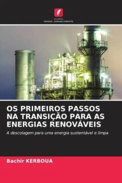 OS PRIMEIROS PASSOS NA TRANSIÇÃO PARA AS ENERGIAS RENOVÁVEIS - KERBOUA, Bachir