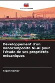 Développement d'un nanocomposite Ni-Al pour l'étude de ses propriétés mécaniques