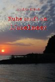 Ruhe sanft am IJsselmeer (eBook, ePUB)