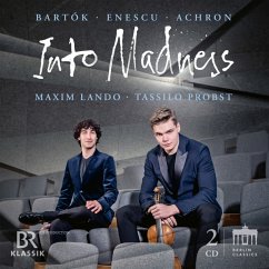 Into Madness - Probst,Tassilo/Lando,Maxim