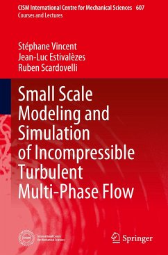 Small Scale Modeling and Simulation of Incompressible Turbulent Multi-Phase Flow - Vincent, Stéphane;Estivalèzes, Jean-Luc;Scardovelli, Ruben