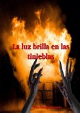 La luz brilla en las tinieblas (eBook, ePUB)