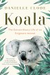Koala (eBook, ePUB) - Bild 1