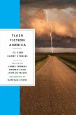 Flash Fiction America: 73 Very Short Stories (eBook, ePUB)