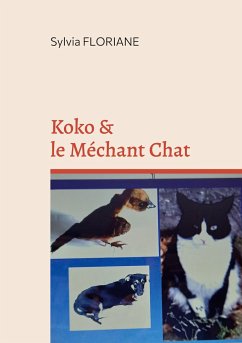 Koko et le méchant chat - Floriane, Sylvia