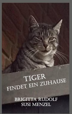 Tiger findet ein Zuhause - Rudolf, Brigitta;Menzel, Susi