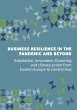 Business Resilience in the Pandemic and... - Bild 1