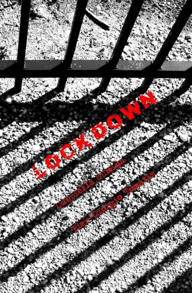 Lockdown (eBook, ePUB)