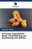 Curcuma angustifolia Roxb. Verarbeitung zur Gewinnung von Stärke
