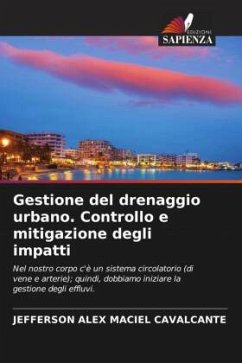 Cover Gestione del drenaggio urbano. Controllo e mitigazione degli impatti