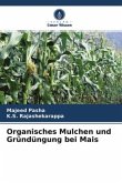 Organisches Mulchen und Gründüngung bei Mais