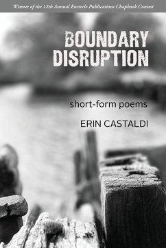 Boundary Disruption - Castaldi, Erin