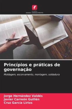 Princípios e práticas de governação - Hernández Valdés, Jorge;Carreón Guillén, Javier;García Lirios, Cruz