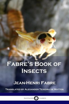 Fabre's Book of Insects - Fabre, Jean Henri