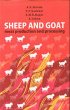 Sheep & Goat Meat Production &... - Bild 1