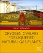 Cryogenic Valves for Liquefied Natural... - Bild 1