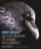 Bird Brain (eBook, PDF)