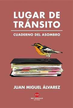 Lugar de tránsito (eBook, ePUB) - Álvarez, Juan Miguel