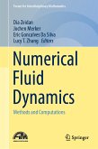 Numerical Fluid Dynamics (eBook, PDF)