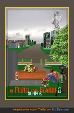 Cover In Feuer und Flamme - Teil 3