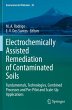 Electrochemically Assisted Remediation... - Bild 1