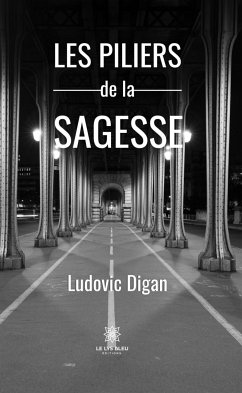 Les piliers de la sagesse (eBook, ePUB) - Digan, Ludovic