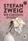 Bir Cöküsün Öyküsü Bir Cöküsün Öyküsü