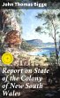 Report on State of the Colony of New... - Bild 1
